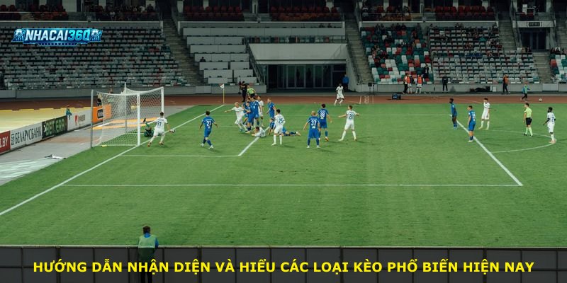 Hướng dẫn nhận diện và hiểu các loại kèo phổ biến hiện nay