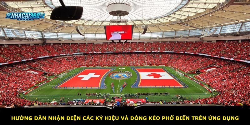 Hướng dẫn nhận diện các ký hiệu và dòng kèo phổ biến trên ứng dụng