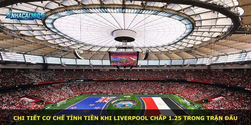 Chi tiết cơ chế tính tiền khi Liverpool chấp 1.25 trong trận đấu