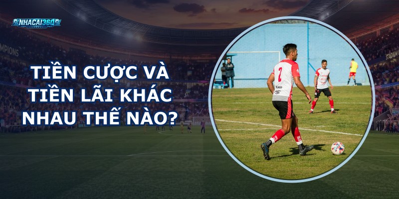 Tiền Cược Và Tiền Lãi Khác Nhau Thế Nào
